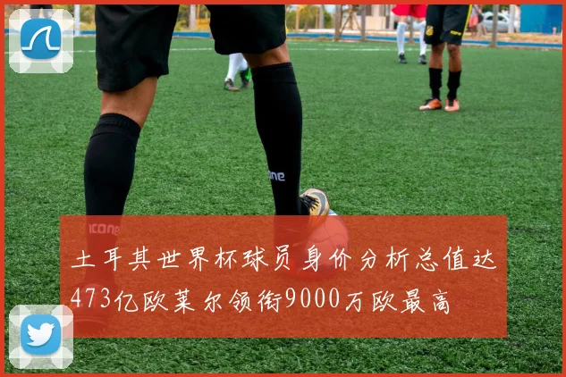 土耳其世界杯球员身价分析总值达473亿欧莱尔领衔9000万欧最高
